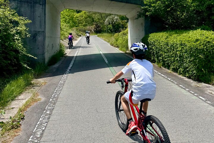 Shimanami Day Bike Tour: Fun for All, Great for Families