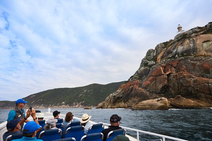 Whale Watching Cruise from Tidal River