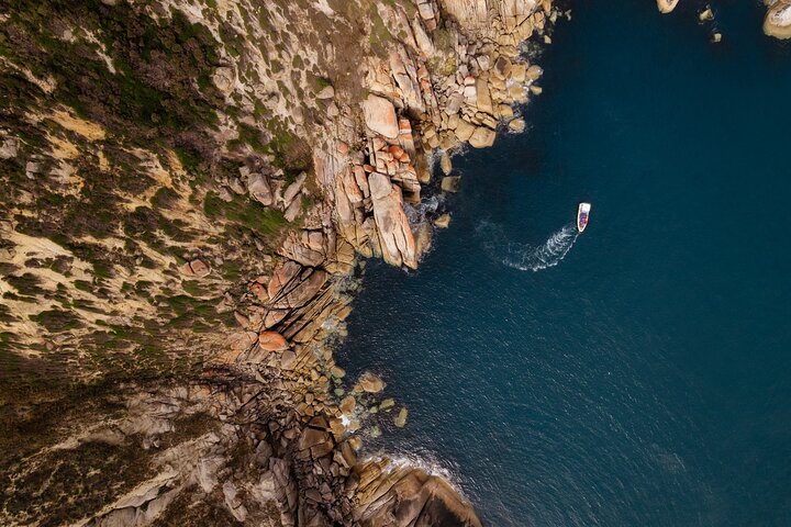 Whale Watching Cruise from Tidal River