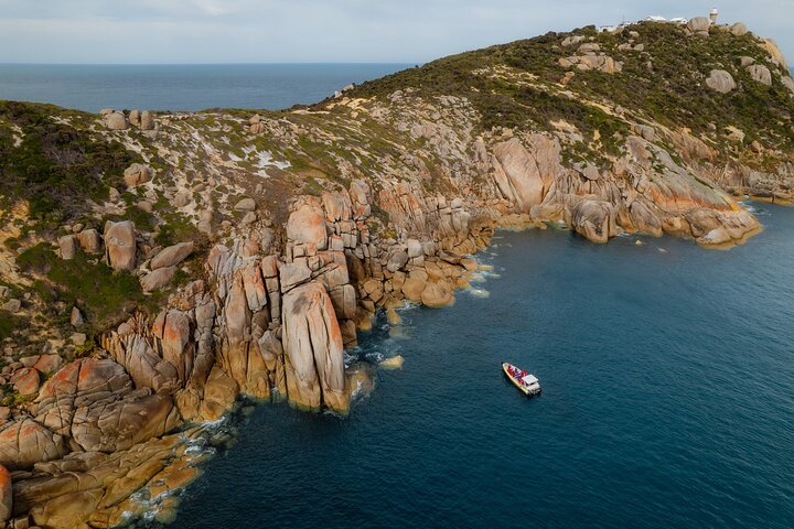 Whale Watching Cruise from Tidal River