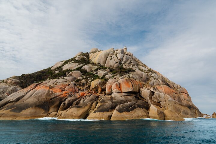 Whale Watching Cruise from Tidal River