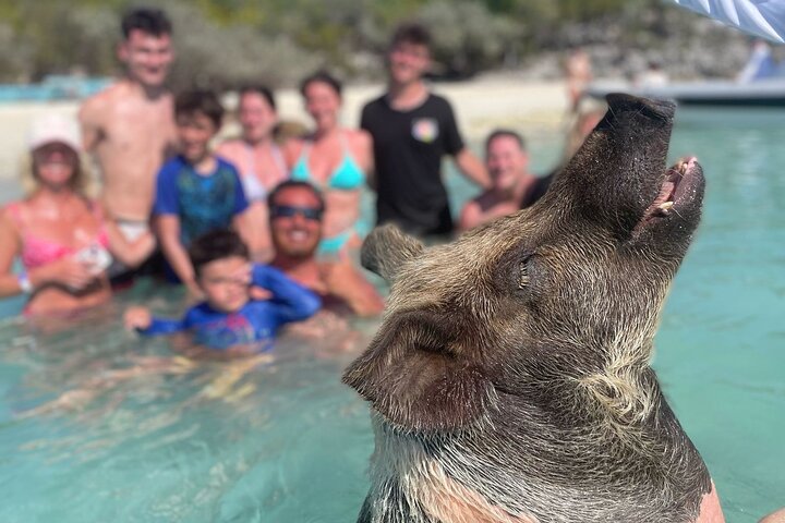 Great Exuma: Private Island-Hopping Boat Tour with Swimming Pigs