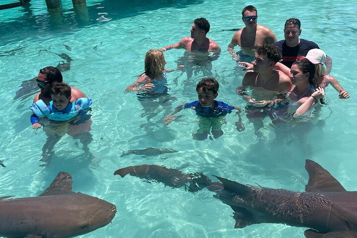 Great Exuma: Private Island-Hopping Boat Tour with Swimming Pigs