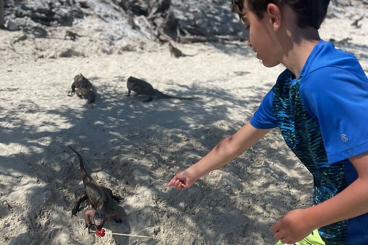 Great Exuma: Private Island-Hopping Boat Tour with Swimming Pigs