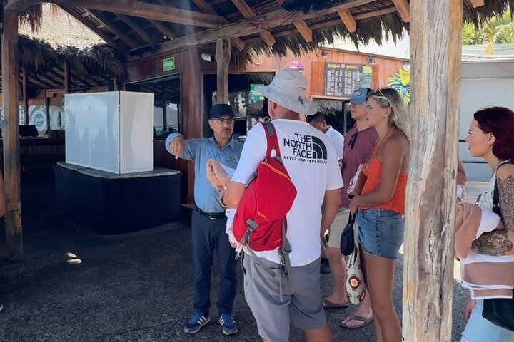 Mazatlan van for hire at cruise terminal – Bilingual Driver Incl.