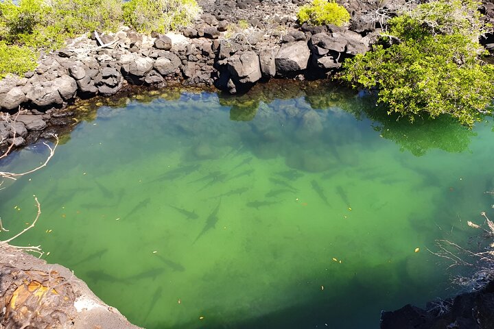 Full Day Santa Cruz Rancho and Lava Tunnels Tour of Bahia
