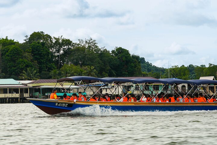 Brunei Mangrove River Safari