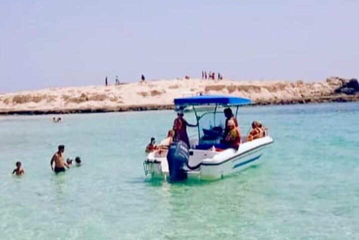 1h30 Sea Trip with Swimming and Dolphin Watching