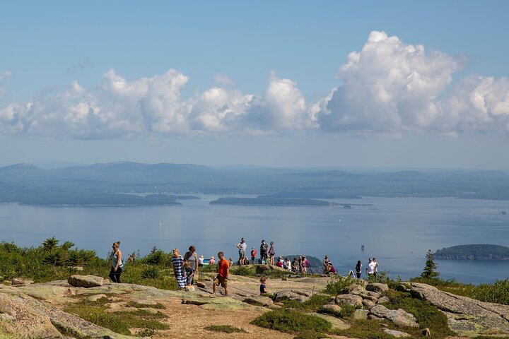 Brewed Awakening Cadillac Mountain Sunrise Tour