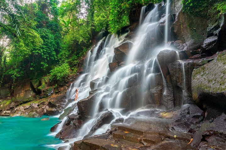 Ubud Private Tour: Waterfalls, Temple and Rice Terraces Swing
