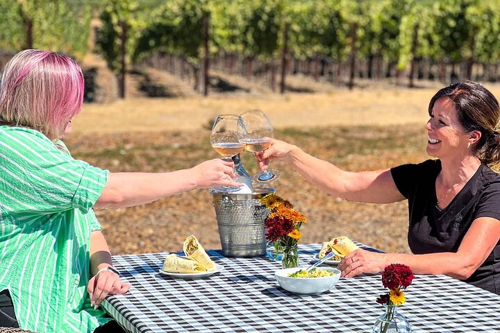 Sonoma & Healdsburg Wine Tours