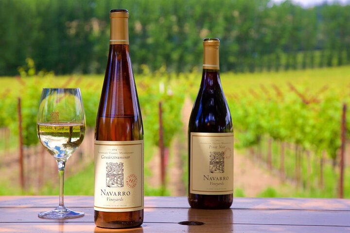 Sonoma & Healdsburg Wine Tours