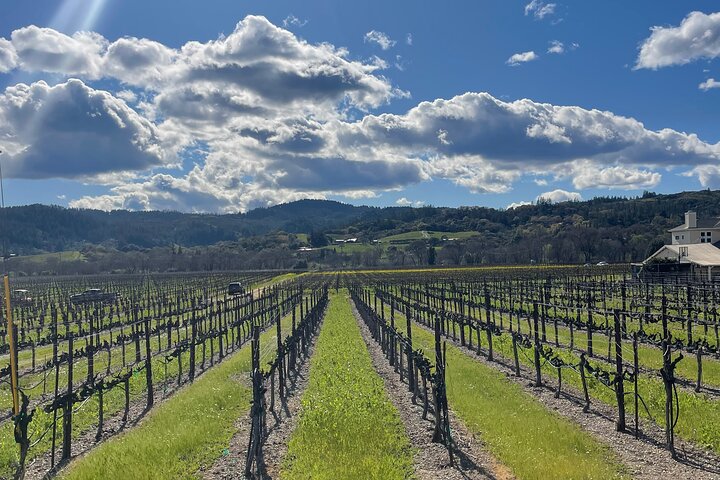 Sonoma & Healdsburg Wine Tours