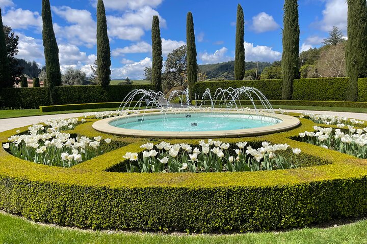 Sonoma & Healdsburg Wine Tours