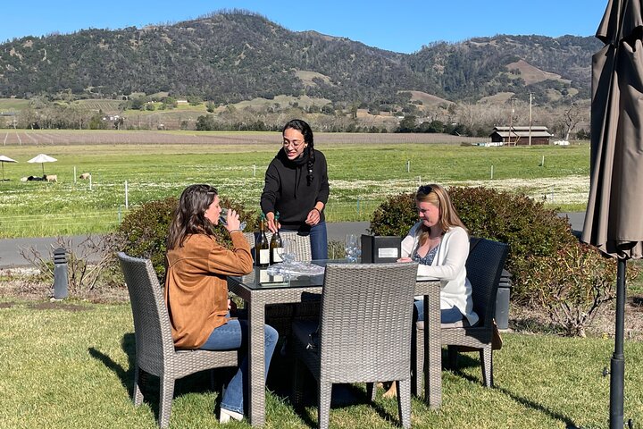 Sonoma & Healdsburg Wine Tours