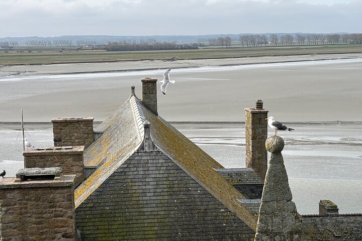 2 hour guided tour of Mont Saint Michel, abbey ticket included
