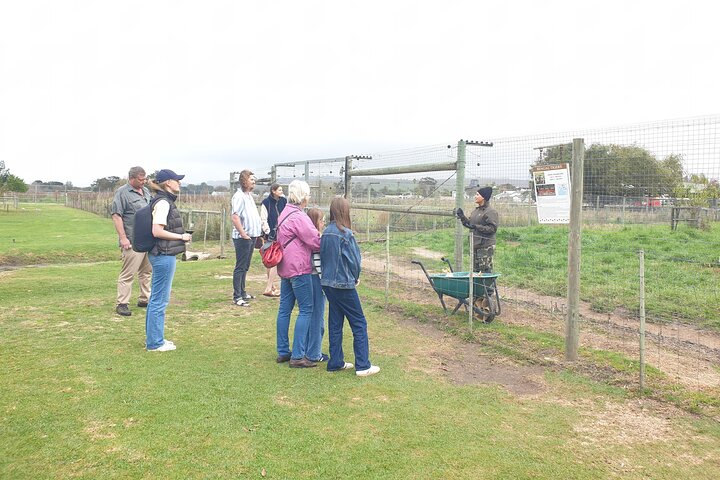 Stellenbosch, Franschhoek, Paarl 15 Wine Tasting Private Tour