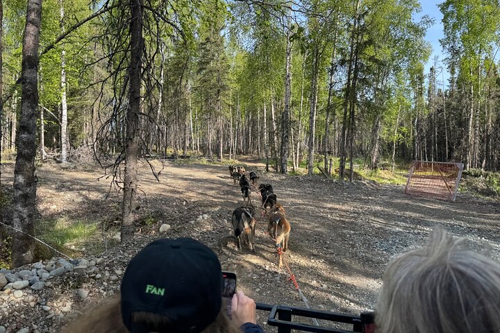 Anchorage's Authentic Dog Sledding Experience