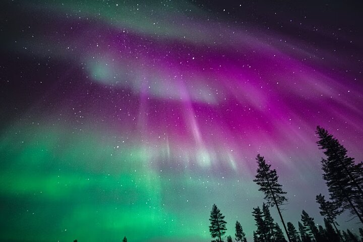 Rovaniemi: 100% Money-Back Guarantee Aurora Tour + Free Photos
