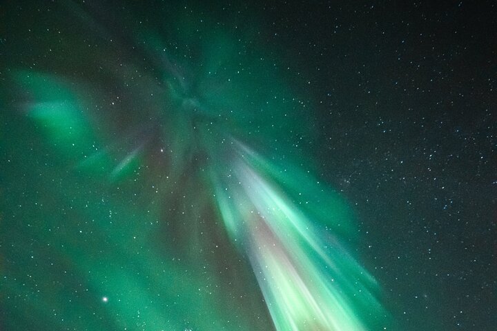 Rovaniemi: 100% Money-Back Guarantee Aurora Tour + Free Photos