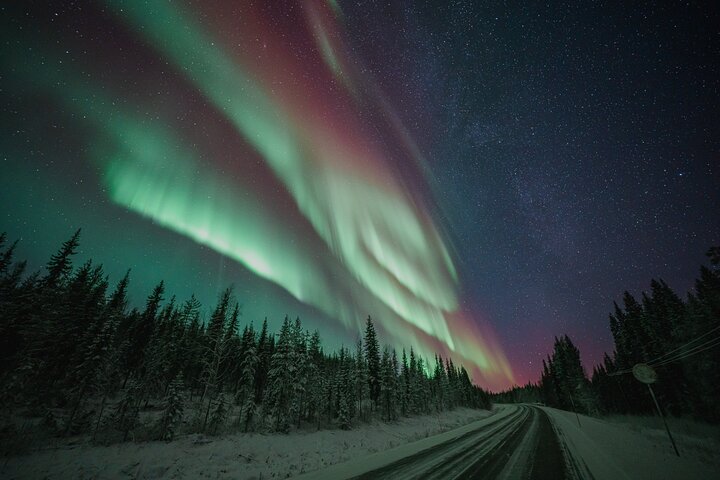 Rovaniemi: 100% Money-Back Guarantee Aurora Tour + Free Photos