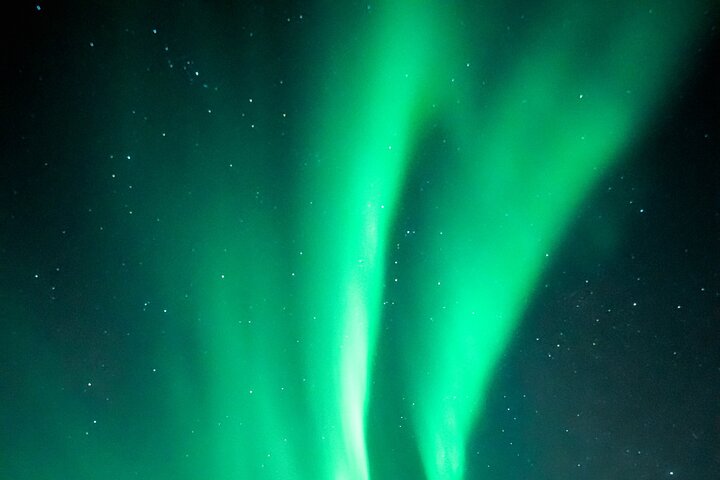 Rovaniemi: 100% Money-Back Guarantee Aurora Tour + Free Photos