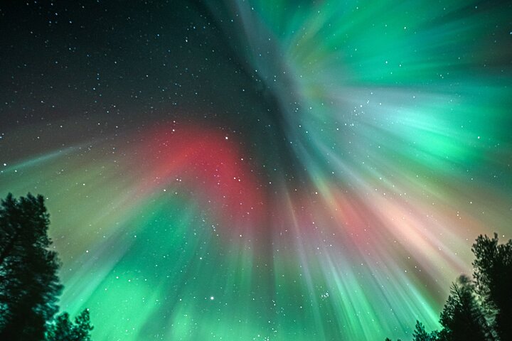 Rovaniemi: 100% Money-Back Guarantee Aurora Tour + Free Photos