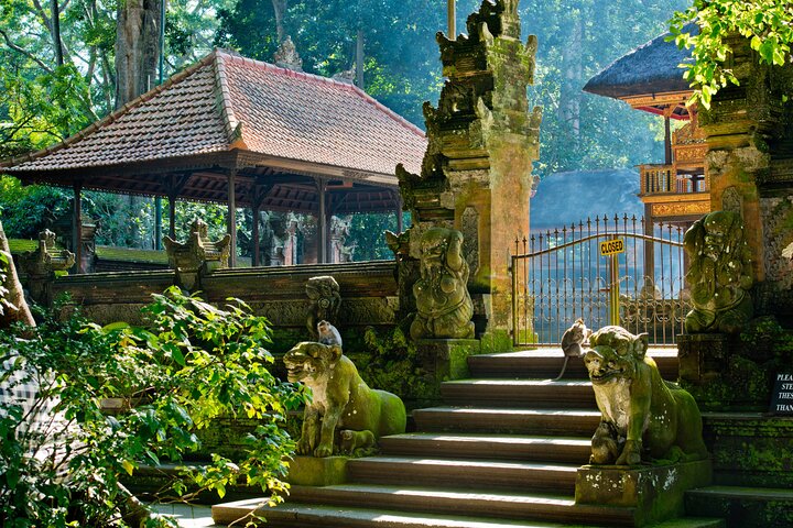 Discover The Best of Ubud: All-Inclusive and Private Guided Tour