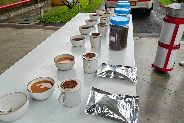 Dibrugarh Tea Tour, Singpho village with lunch, Digboi oil museum