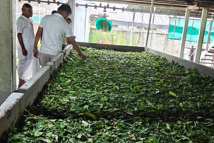 Dibrugarh Tea Tour, Singpho village with lunch, Digboi oil museum