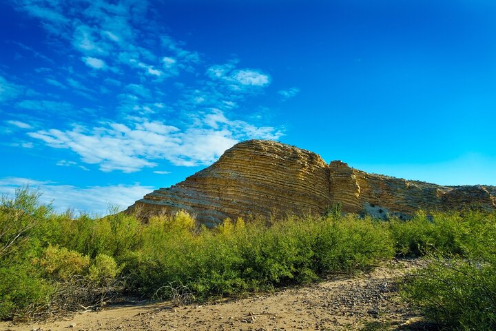 Texas and New Mexico Bundle 4 day Self Guided National Park Tours