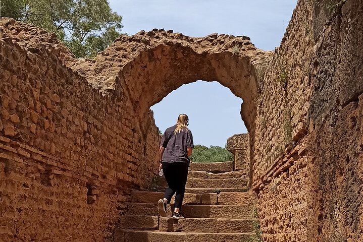 Explore the Ruins of Tipaza and Cherchell