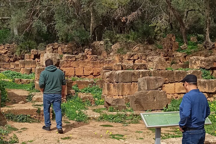 Explore the Ruins of Tipaza and Cherchell