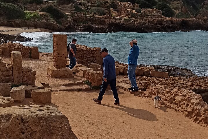 Explore the Ruins of Tipaza and Cherchell