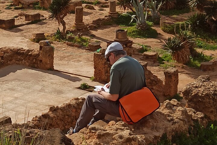 Explore the Ruins of Tipaza and Cherchell