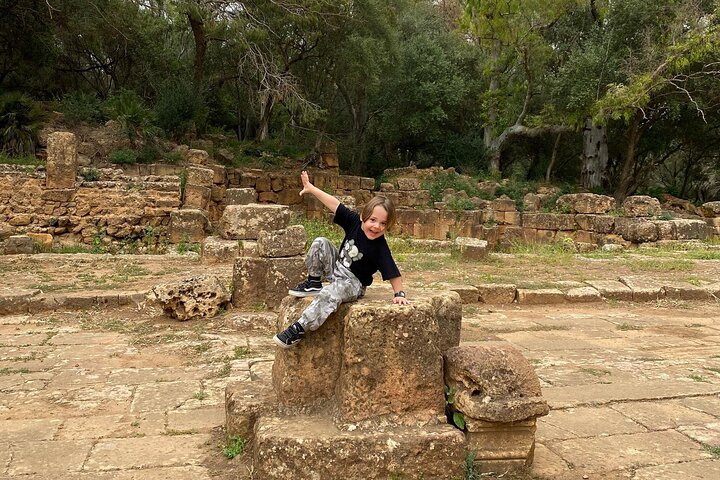 Explore the Ruins of Tipaza and Cherchell