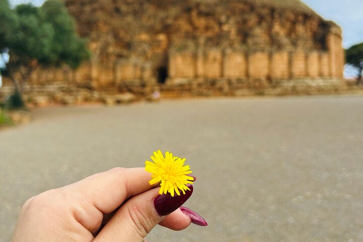 Explore the Ruins of Tipaza and Cherchell