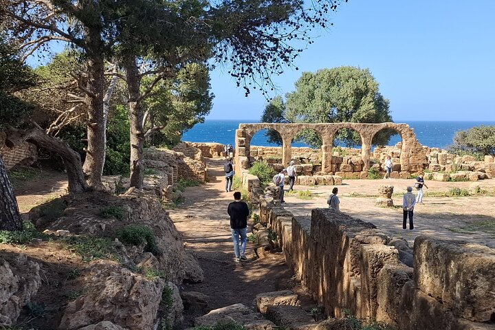 Explore the Ruins of Tipaza and Cherchell