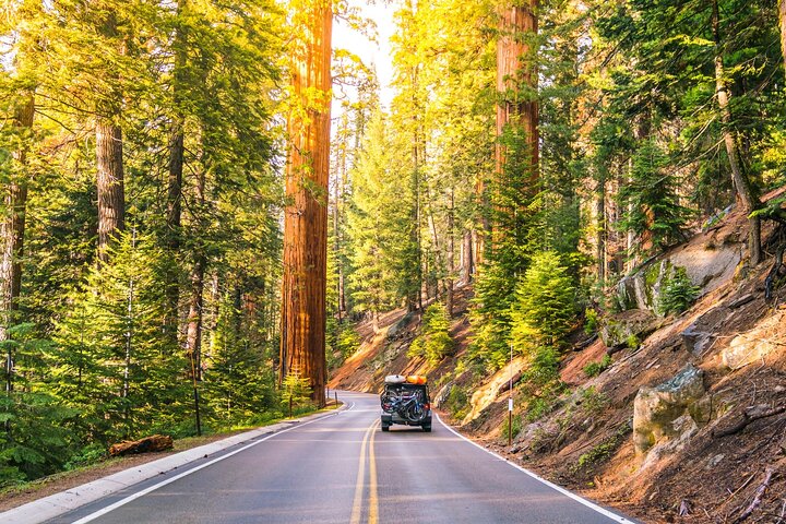 Sequoia and Kings Canyon Audio Tour Self Guide National Park Tour