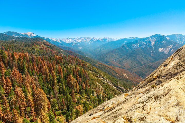 Sequoia and Kings Canyon Audio Tour Self Guide National Park Tour