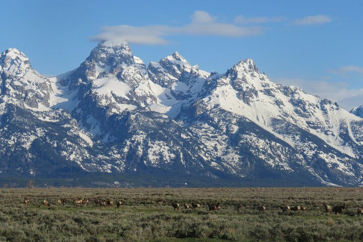 Grand Teton National Park - PRIVATE Sunrise Tour from Jackson Hole