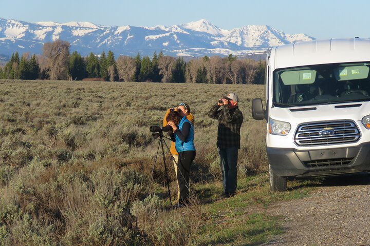 Grand Teton National Park - Sunrise Tour from Jackson Hole