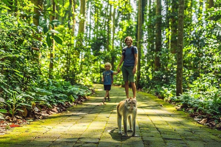 All-Inclusive Ubud Customized Private Tour