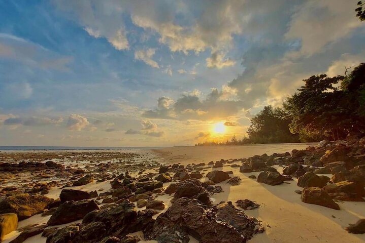 Phi Phi Early Bird & 4 Islands - Day Tour by Speedboat From Krabi
