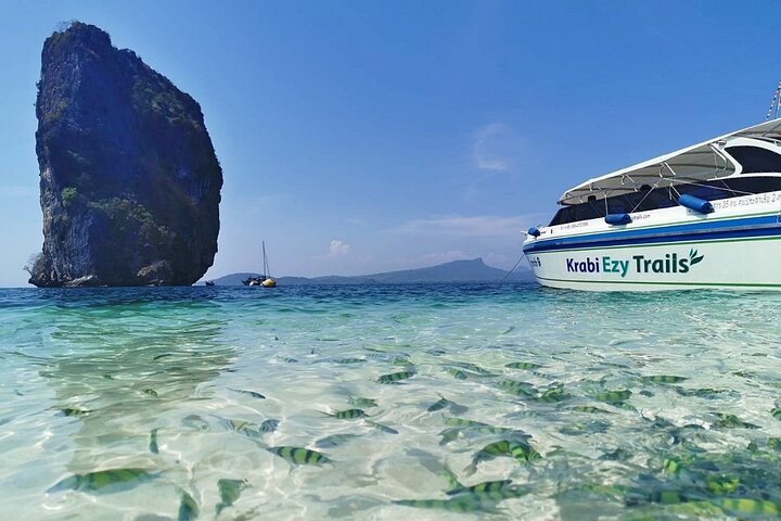 Phi Phi Early Bird & 4 Islands - Day Tour by Speedboat From Krabi