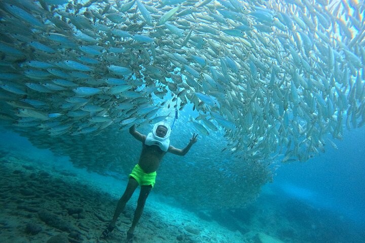 Sea Trek Underwater Walk in Tenerife – No Swimming Required