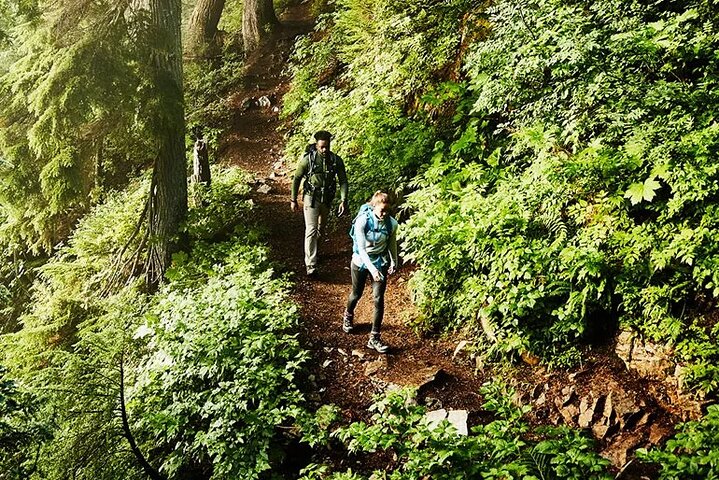 Hiking 7 Waterfalls Experience in Mauritius with Lunch