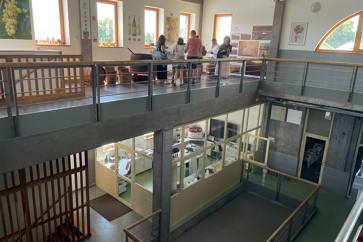 Small-Group East Slovakia Whisky & Distillery Tour