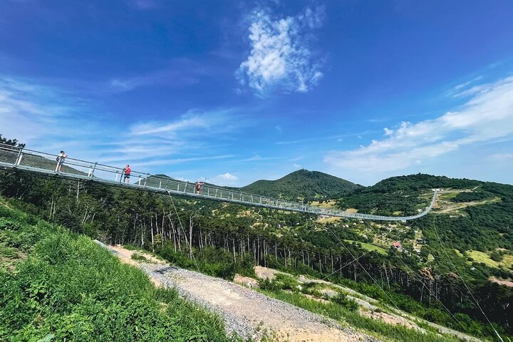 Tokaj Sky Bridge with Wine Experience