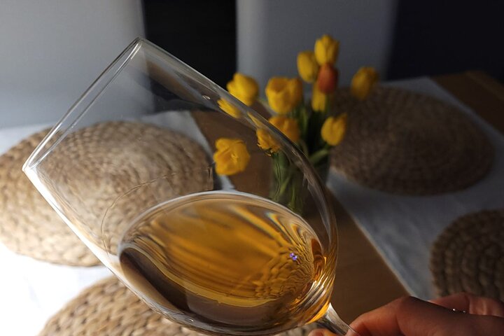Tokaj Sky Bridge with Wine Experience